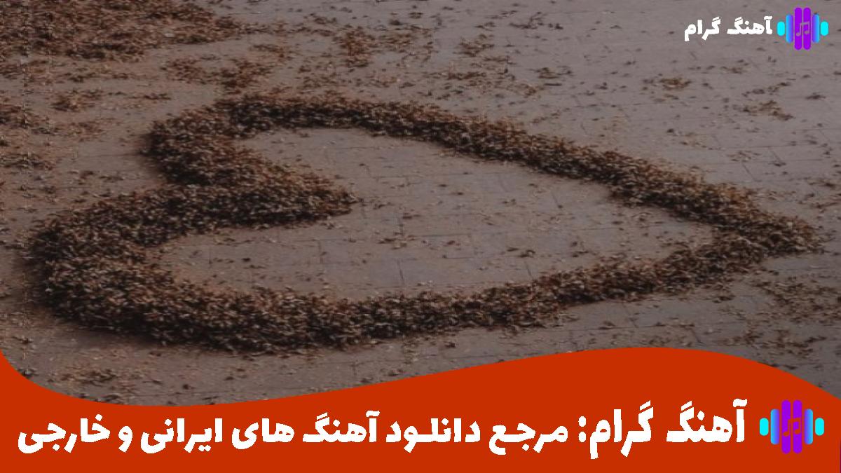 کاور آهنگ بی تو هر شب این دیوونه مست چشمات زیر بارونه از نوان